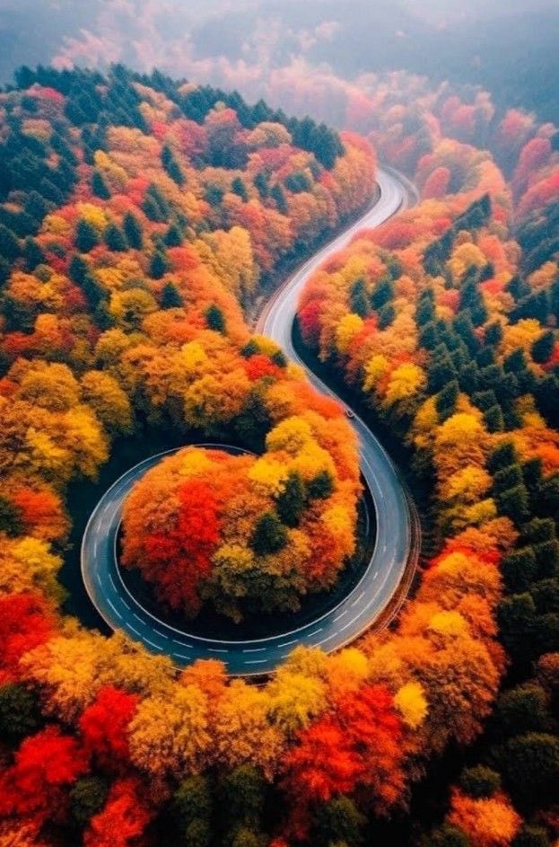 thespookygirll's tweet photo. 🍂🍁🍂🍁 https://t.co/PTosEAEbPD