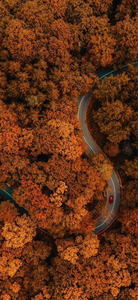 thespookygirll's tweet photo. 🍂🍁🍂🍁 https://t.co/PTosEAEbPD