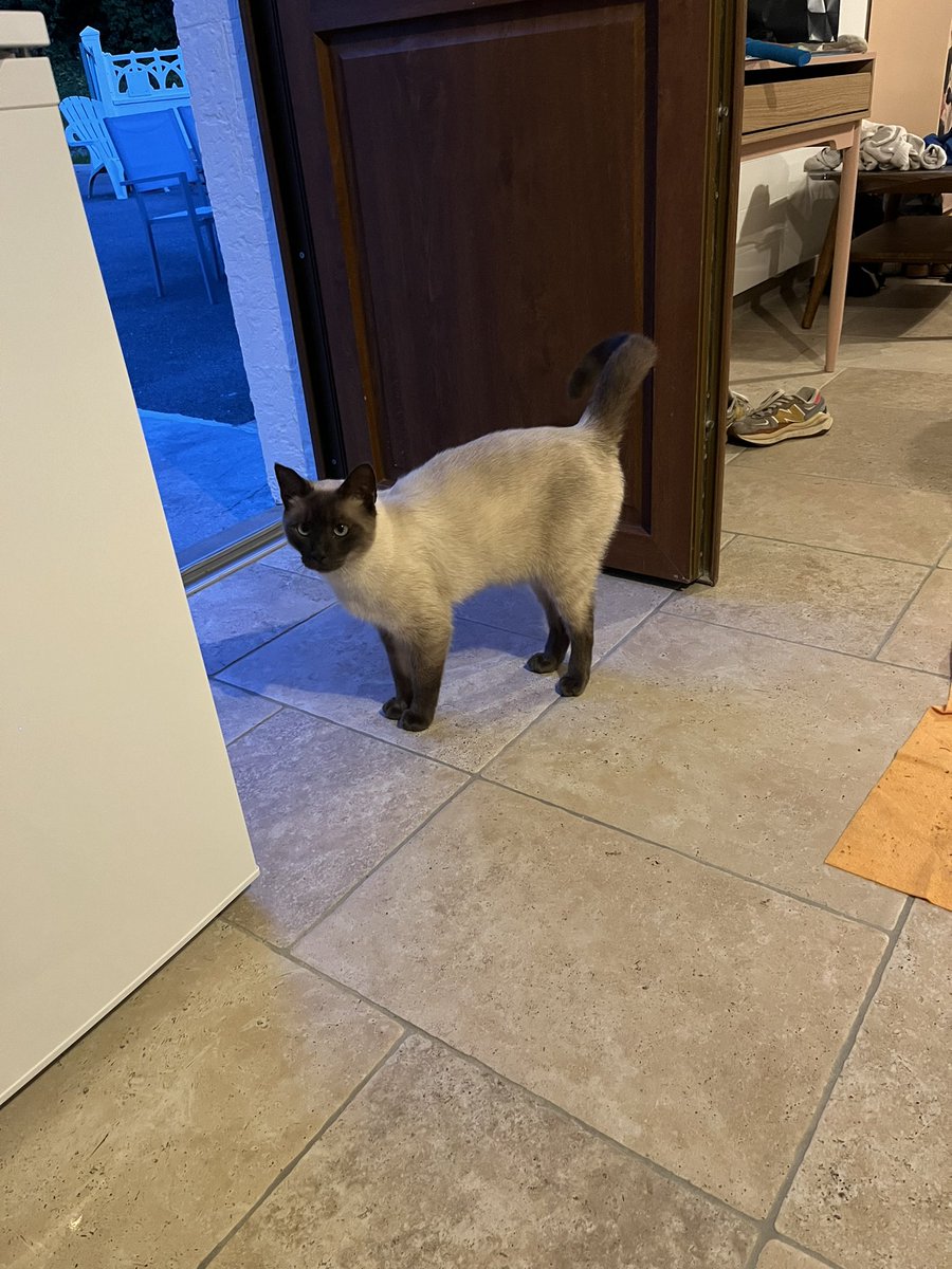 Meg Fenn tweet media