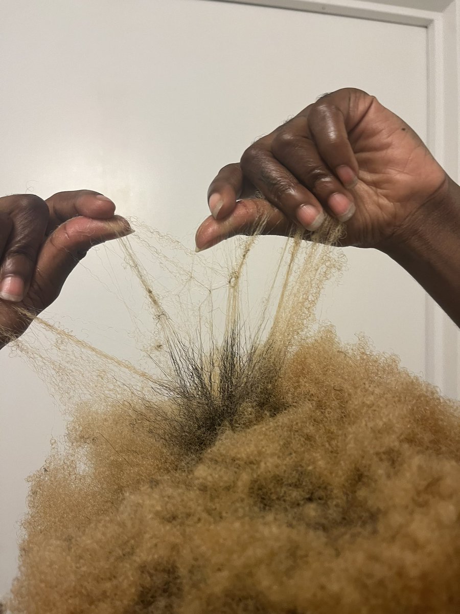 CA22AVA's tweet image. single-strand knots on 4c hair #textureshot 

if left alone this is how u get free form locs!