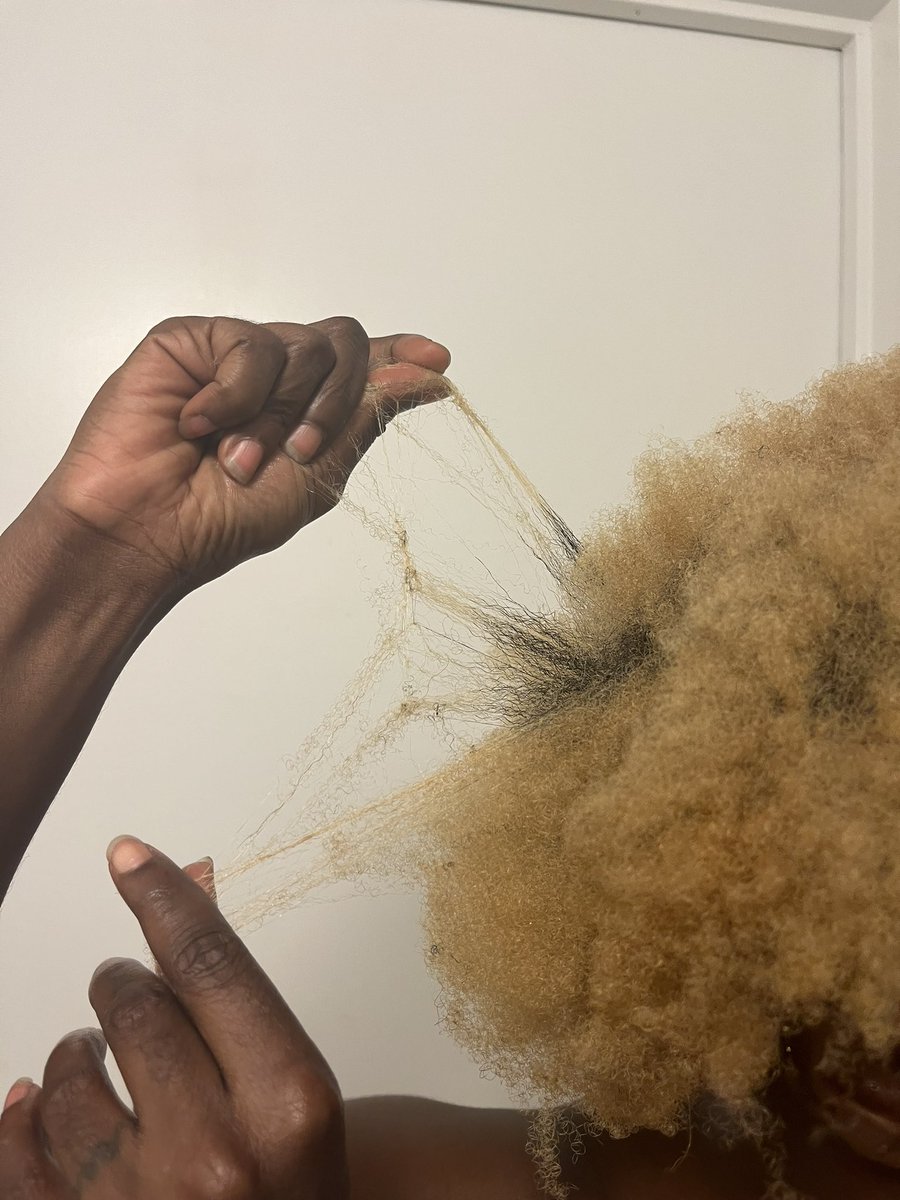 CA22AVA's tweet image. single-strand knots on 4c hair #textureshot 

if left alone this is how u get free form locs!