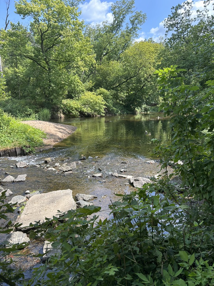 Essau1969's tweet image. #SundayFunday #Mushroom #Foray