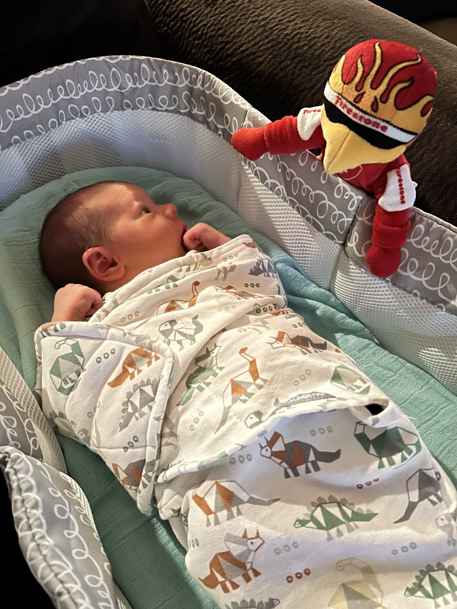 EvanYule's tweet photo. Freddie’s first @IndyCar race! https://t.co/jOwuVfhFJm