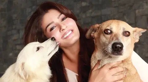 From Diana Penty to Madhuri Dixit: This #DogDay urbanasian.com/featured/2024/…
