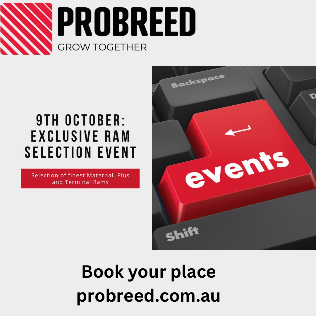 🐏 Discover Excellence in Every Ram!🐏

Join us at Murnong Inverleigh this October 9th, where ProBreed showcases our latest selection of top-tier rams tailored for the Australian lamb industry. Whether you're looking to enhance your flock with superior maternal instincts or