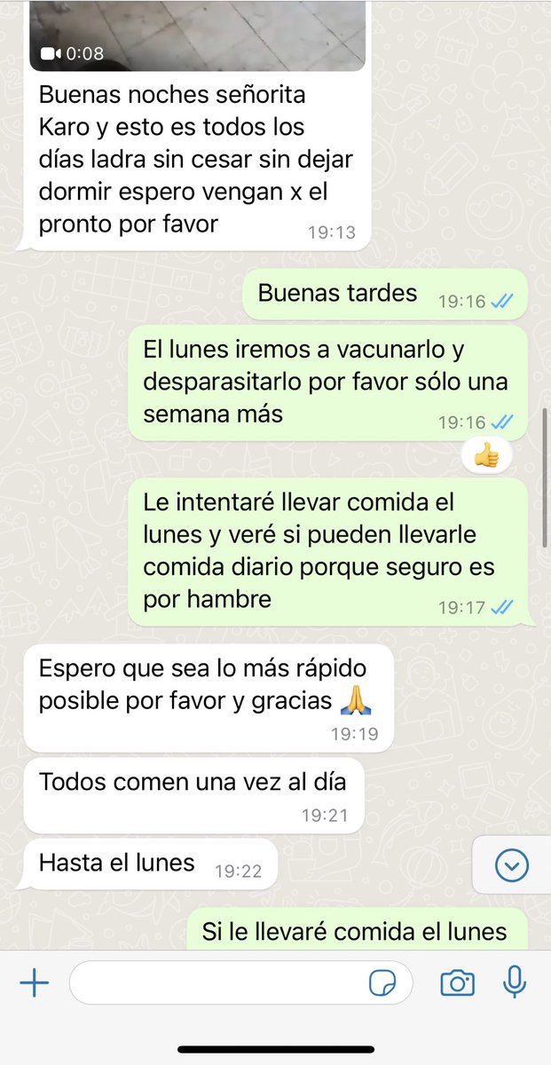 Unacontamas's tweet photo. Amigooos!! A una vecina le llegó este mensaje para rescatar a este perro!! Le súper urge hogar temporal, están a punto de sacarlo a la calle!
Está en mar blanco 64, en la
Miguel Hidalgo. Urge rescatarlo está en los huesos !! 
#CDMX #RescateUrgente #perrito #dog #mascotverse https://t.co/GIDa9oQhYP