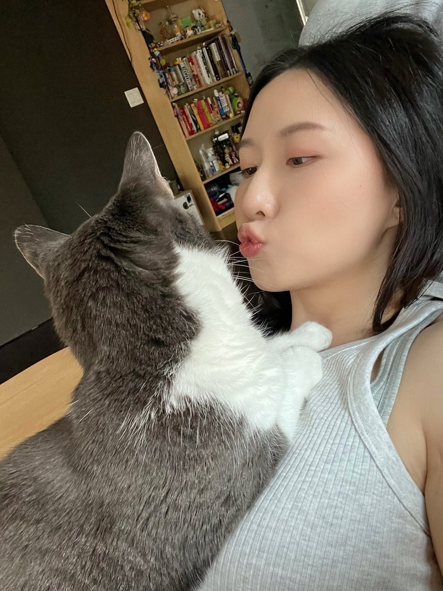 pikchii's tweet photo. It melts my heart every time they come  to me for cuddles 🥰 😻💕 https://t.co/5cfquYqg1Y