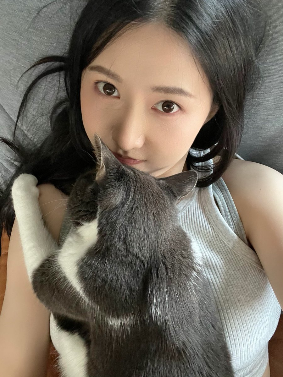pikchii's tweet photo. It melts my heart every time they come  to me for cuddles 🥰 😻💕 https://t.co/5cfquYqg1Y