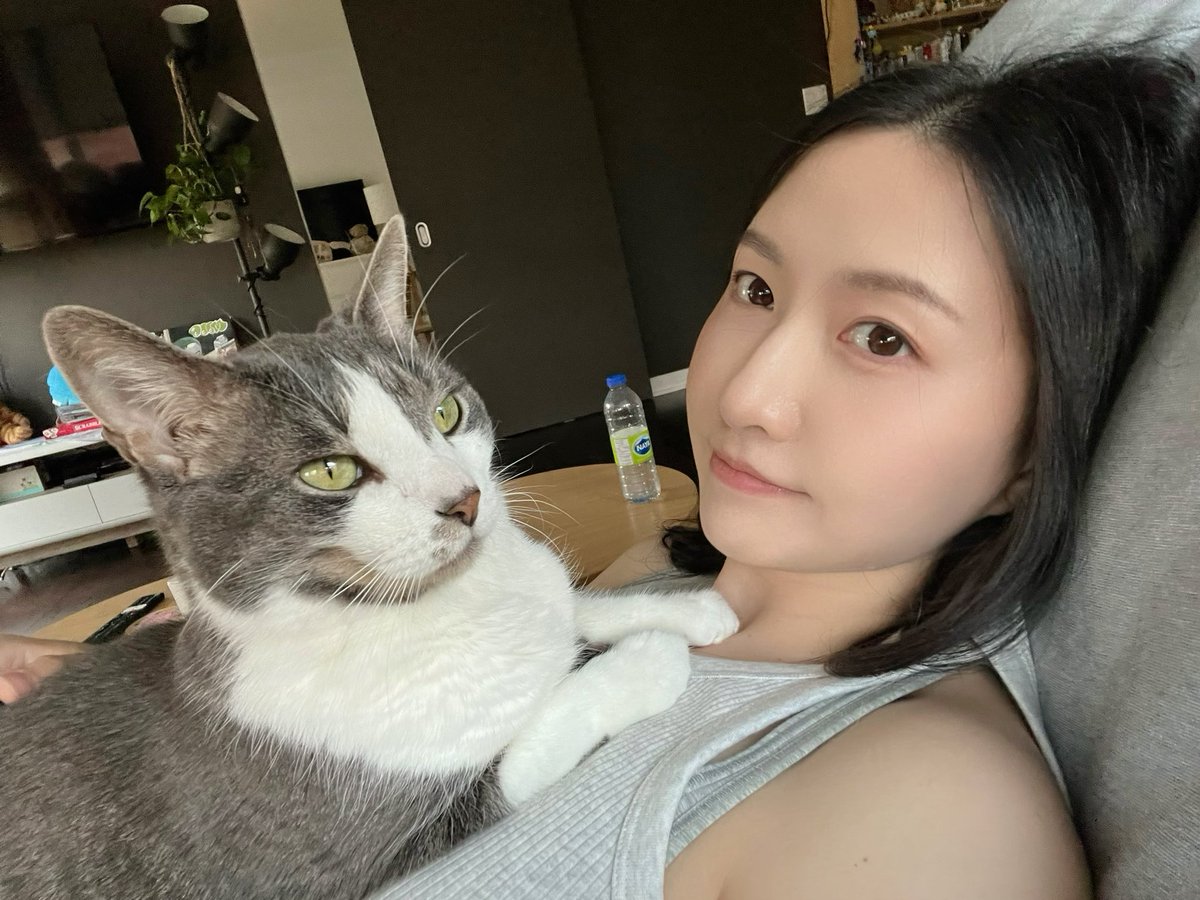 pikchii's tweet photo. It melts my heart every time they come  to me for cuddles 🥰 😻💕 https://t.co/5cfquYqg1Y