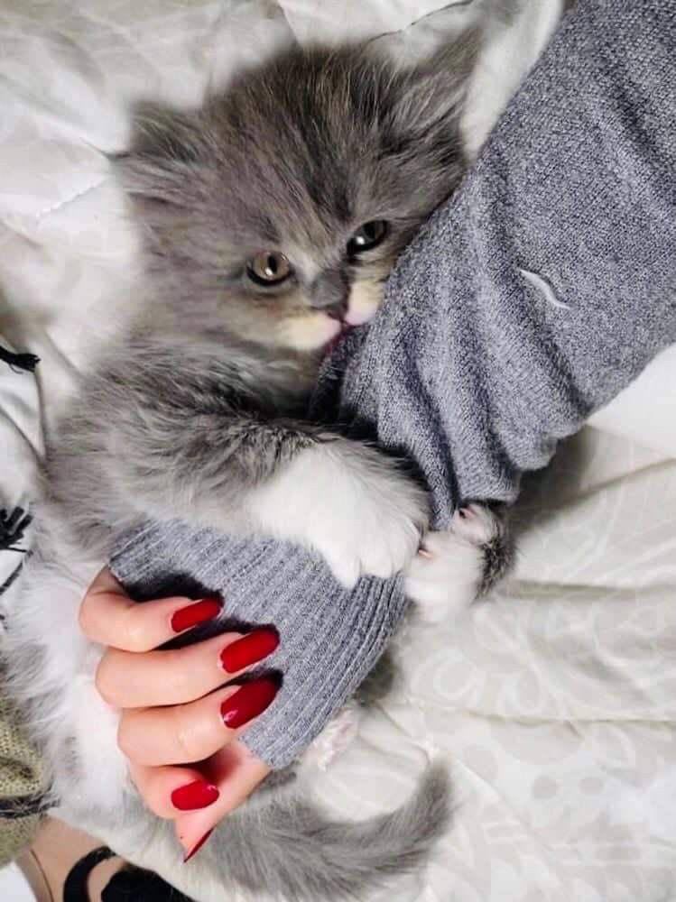 اڶمـﮪڕہ♥️ tweet media