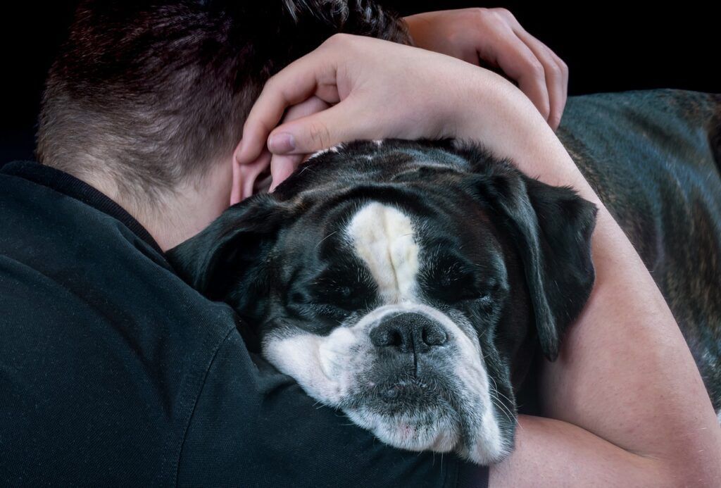 WaggingTailsPR's tweet image. Grief isn’t something our society talks about very often, especially when it involves a lost #dog. However, it’s a profound experience that can become all-consuming. Here's what you should know: buff.ly/4cDHS7A