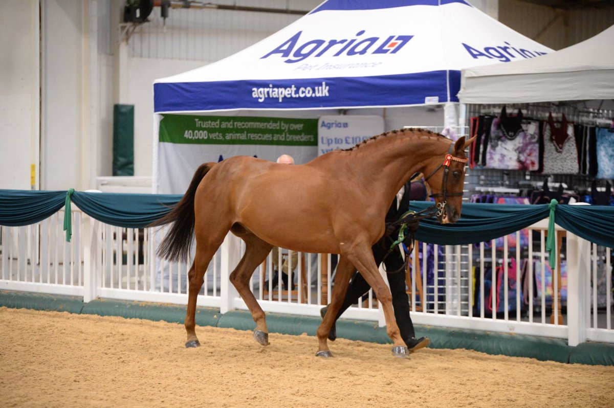 Andy Robertson tweet media