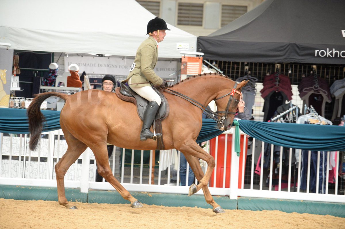 Brilliant couple of days with Definitly Red <a href="/RoRlatest/">RoR</a> National Championships making me proud with a 2nd in a massive strong <a href="/Tattersalls1766/">Tattersalls</a> open in hand championship <a href="/AintreeRaces/">Aintree Racecourse</a> #HorsesForCourses
