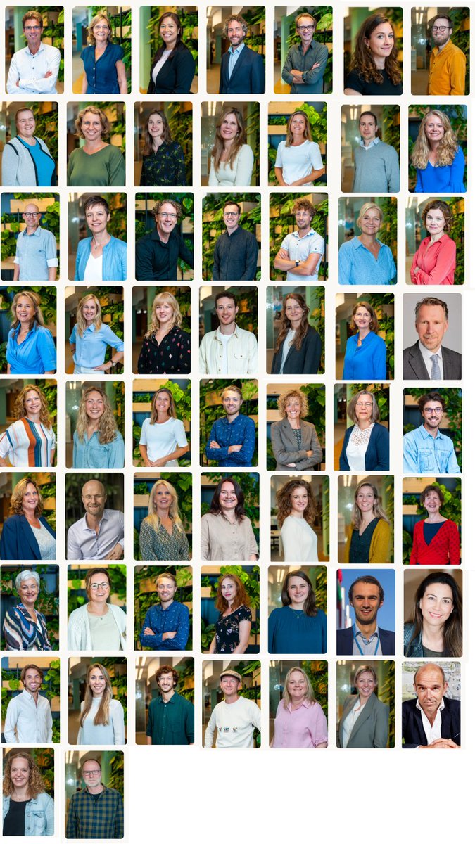 Dit is de volledige staf van Natuur&amp;Milieu. Valt je iets op?