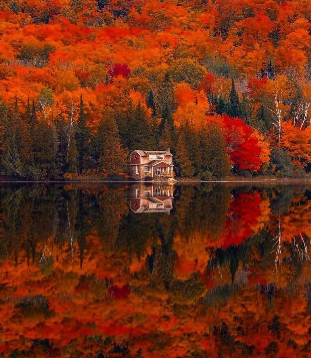 earthcurated's tweet photo. Fall reflection in Ontario 🍂 https://t.co/T4klFPzO4V
