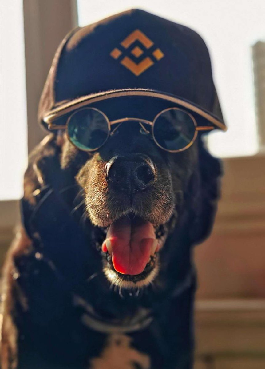 <a href="/LeBinanceFR/">Binance France</a> C'est un week-end, il est temps de se détendre #binancedog <a href="/BinanceDogBsc/">Binance Dog</a> <a href="/binance/">Binance</a>