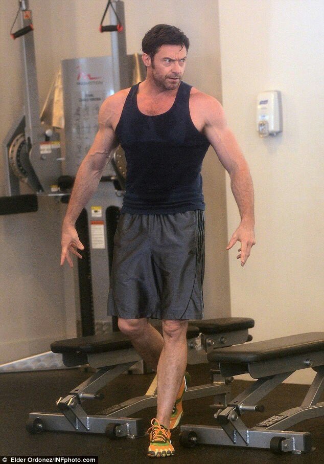 hughdfn's tweet photo. why so angry, bub? https://t.co/RKmqi4PErz