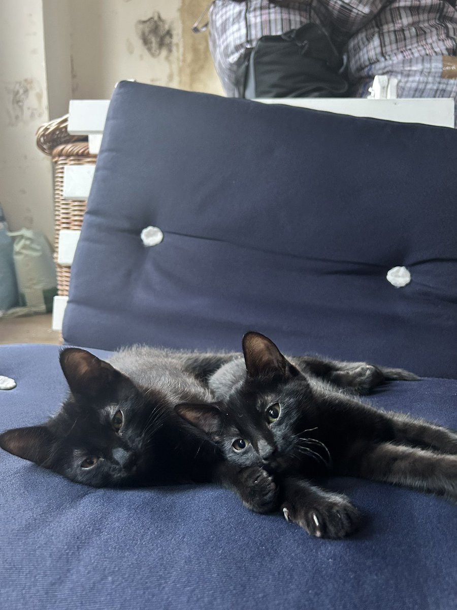 Ellie Claughton tweet media