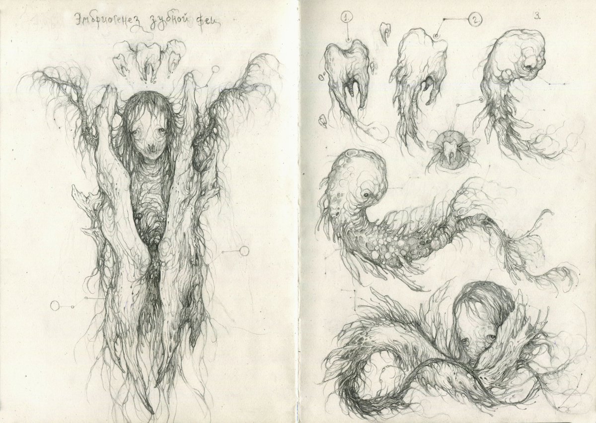 Nemo__Soda's tweet photo. tooth fairy embryogenesis🦷 https://t.co/4UTuIJ3Npd