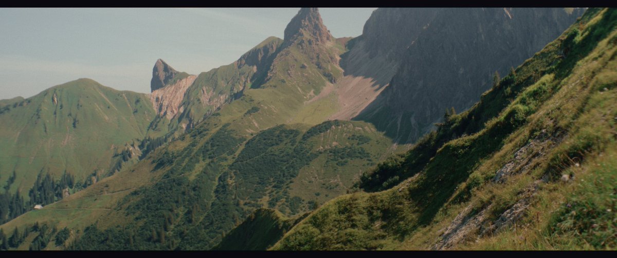 Kai Bauer tweet media