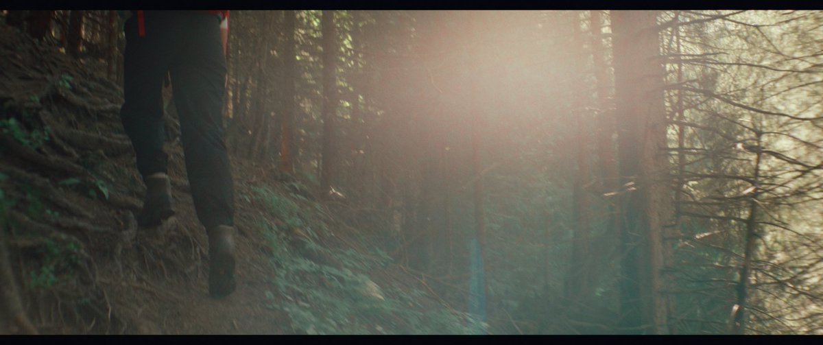 Kai Bauer tweet media