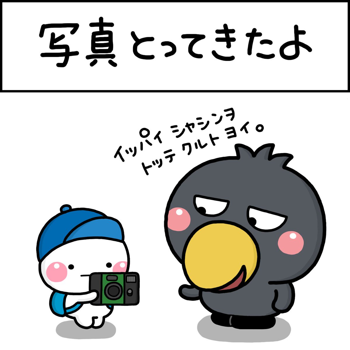 写真とってきたよ