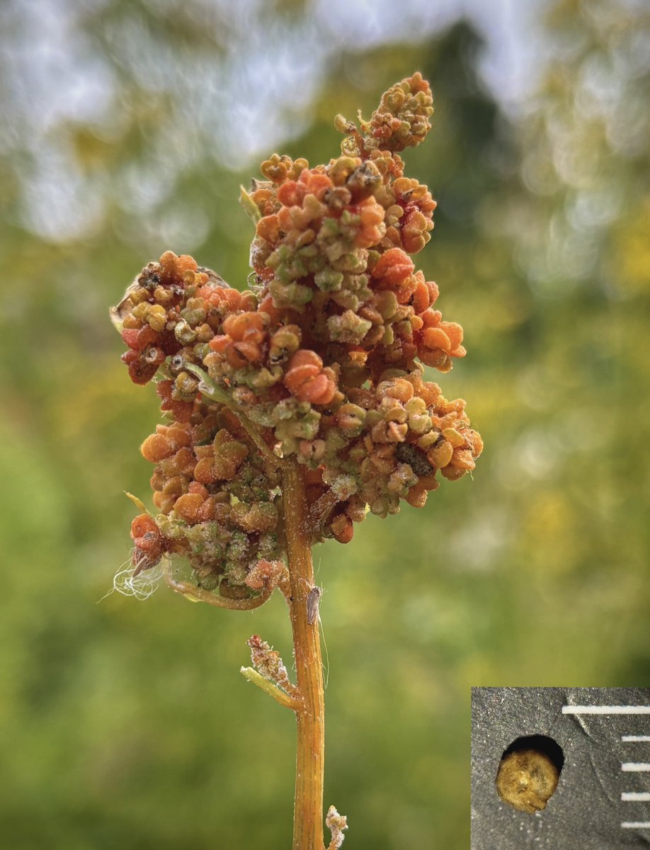 Liz Louise tweet media