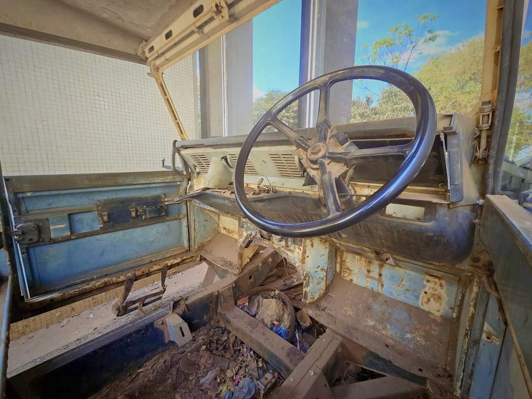 Faith Mussa tweet media