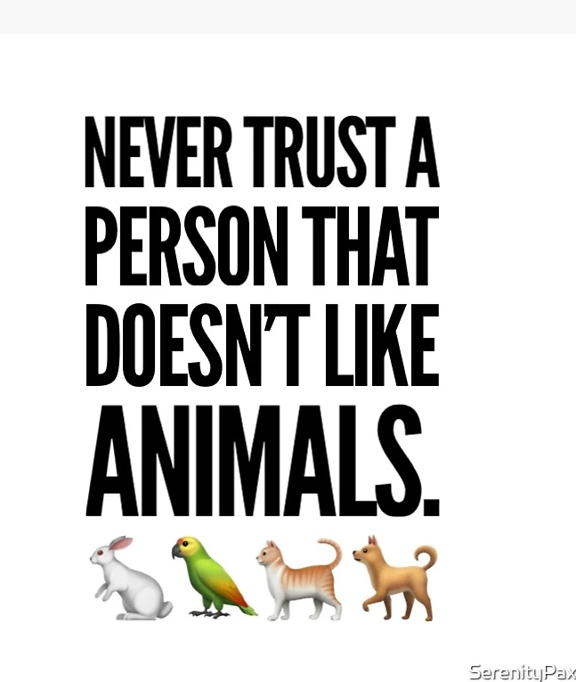 tryn2stamello's tweet photo. #animalsknow https://t.co/qhIlvetjvL