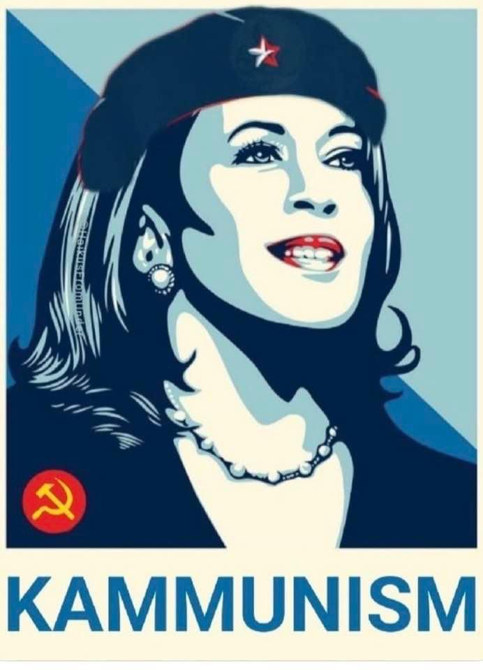 The border Zar allowed 220,000 illegal immigrants into New York’s sanctuary city and has costed New York $5,600,000,000 billion !  They are heading to bankruptcy!