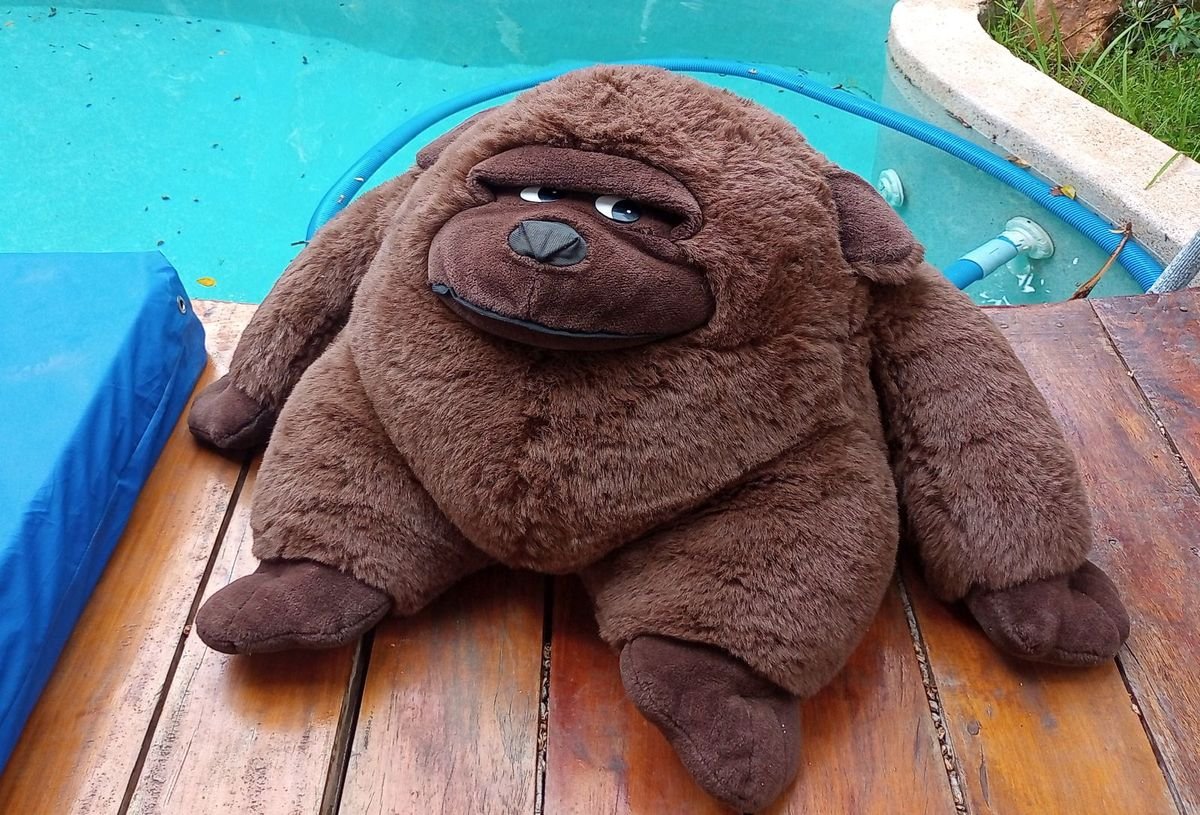 _sofarama's tweet photo. @vinickmann Eu tinha uma pelúcia de gorila que por anos usava como assento, esse aí seria só a forma final dela https://t.co/ZGXtuRh5T3