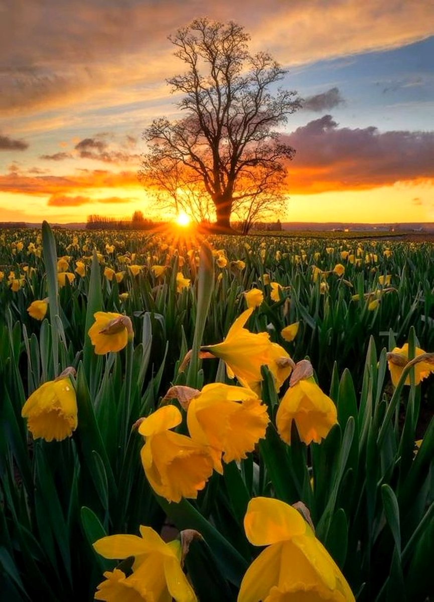 Good morning, happy new week💚💛💚