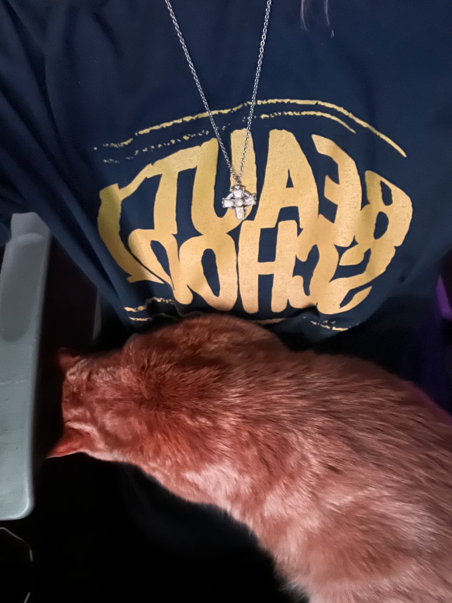 spooupy, IQ 278 tweet media