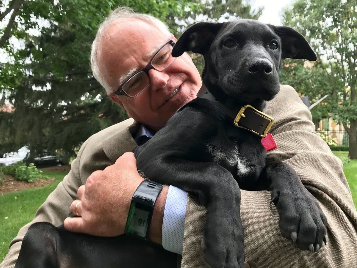 Apparently, Tim Walz and RFK Junior both share a love of dogs. The difference being, RFK Junior prefers them with a tangy barbecue sauce. #RFK #RFK4Trump #RFK4Trump #rfkeatsdogs