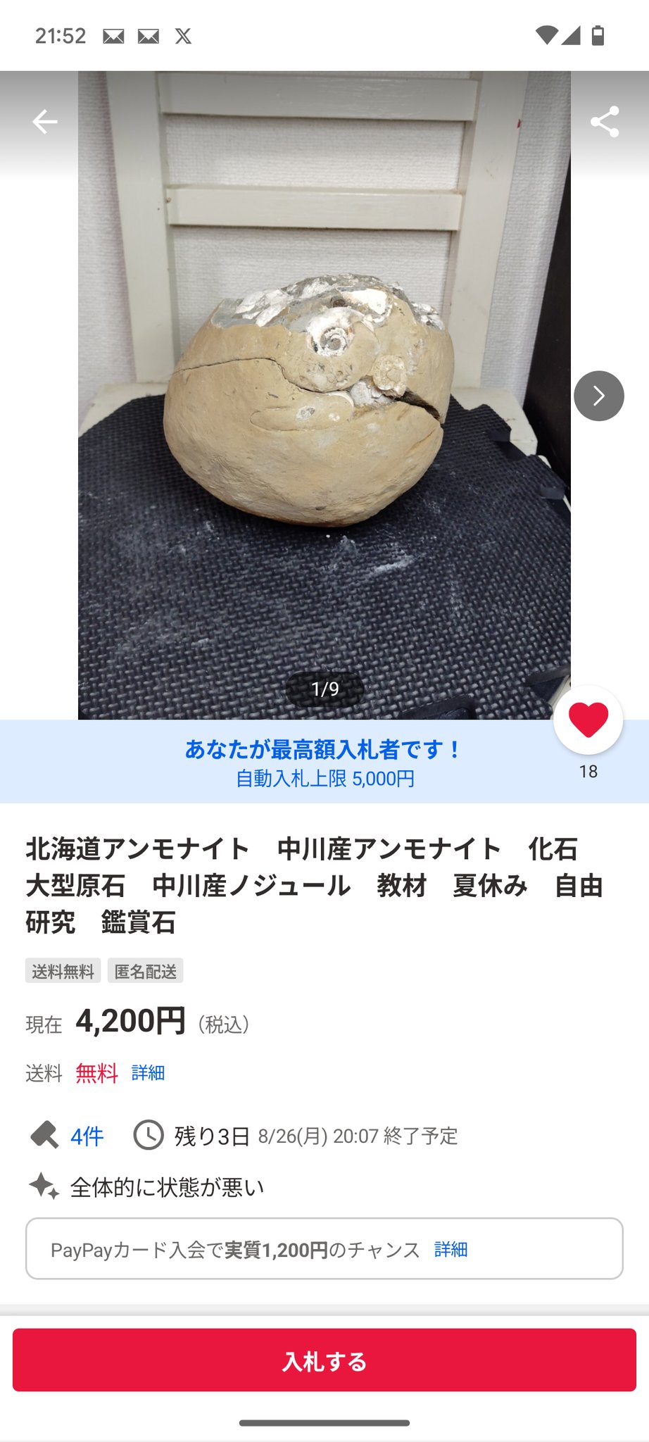 北海道中川 ノジュール クリーニング 化石掘り - メルカリ