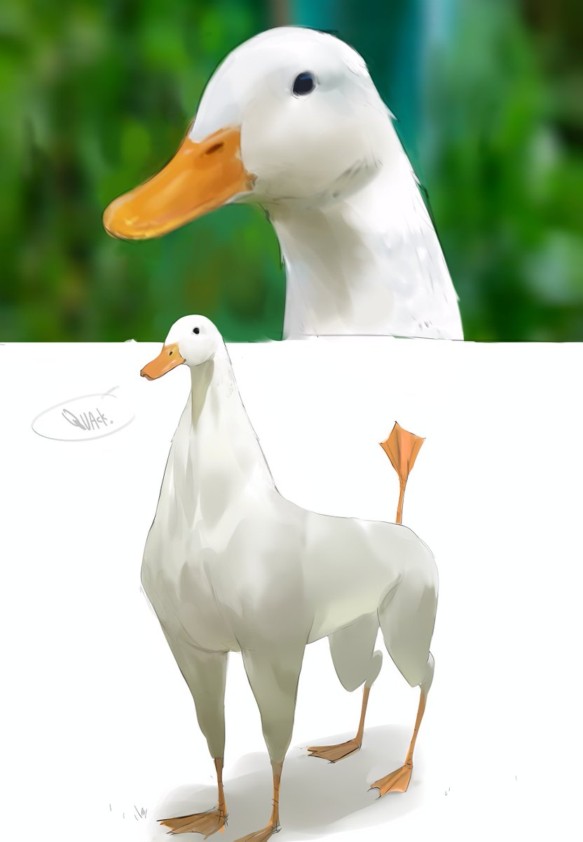 smewedsmew's tweet photo. Ah yes, a duck https://t.co/VC75nSSHNK