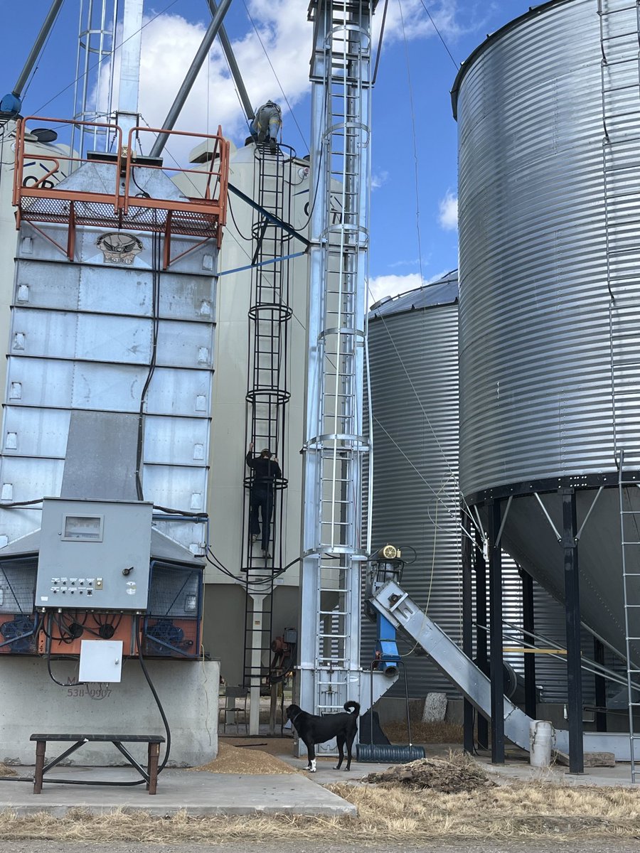 McSMF's tweet photo. The average age of the farm operators on this farm just dropped by 28 years.  My new job is to stay on the ground. 🤷‍♂️ https://t.co/Ozxqhs8g1w