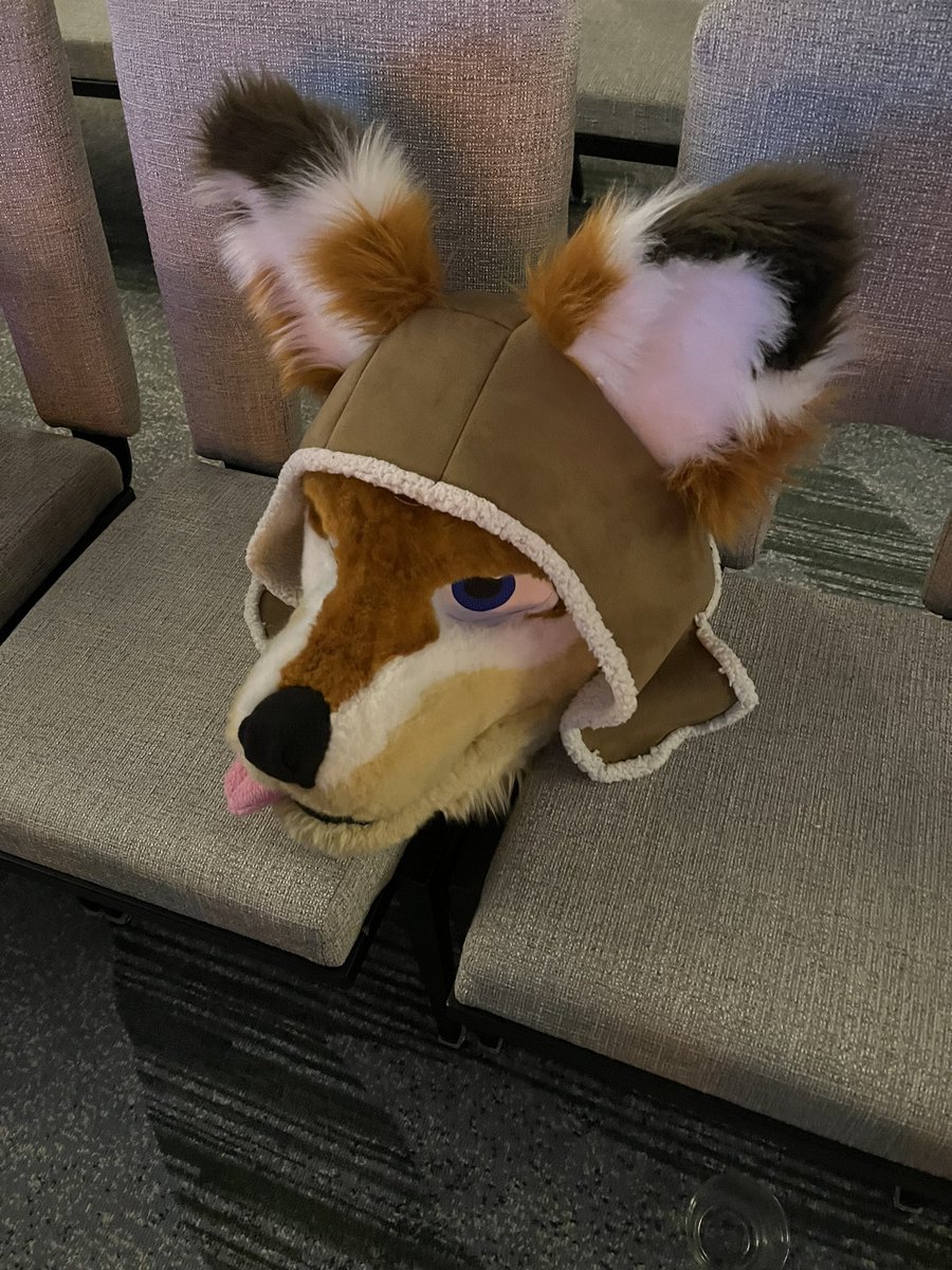 Got a <a href="/FlyByFox/">FlyByFox</a> 20 minutes to pay 20 rupees to me or I’ll do the hand in muzzle snoot thingy 😈