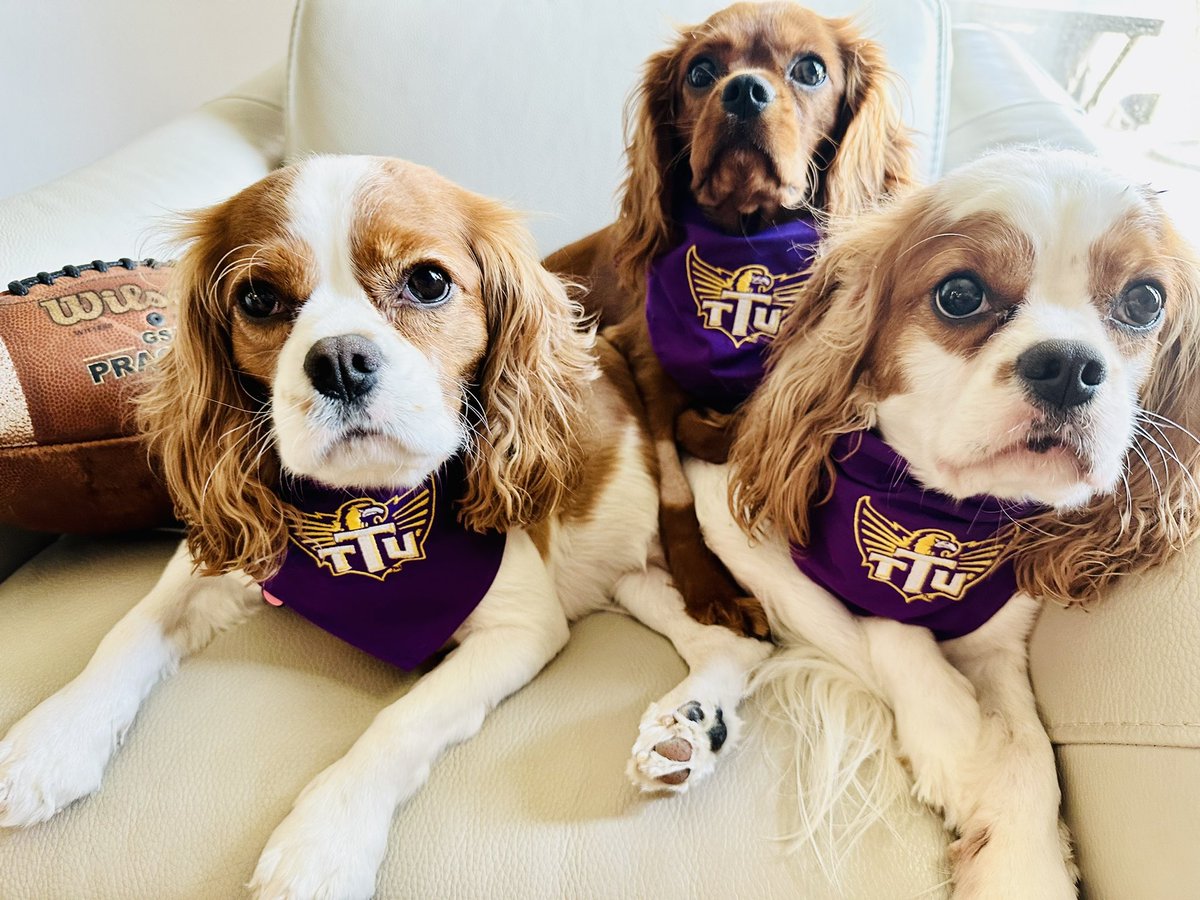chesneyjrlgal's tweet photo. 6 days to kickoff! 💜🏈💛 #WingsUp #AimHigh @DylanLaible https://t.co/QG4k9i5XXF