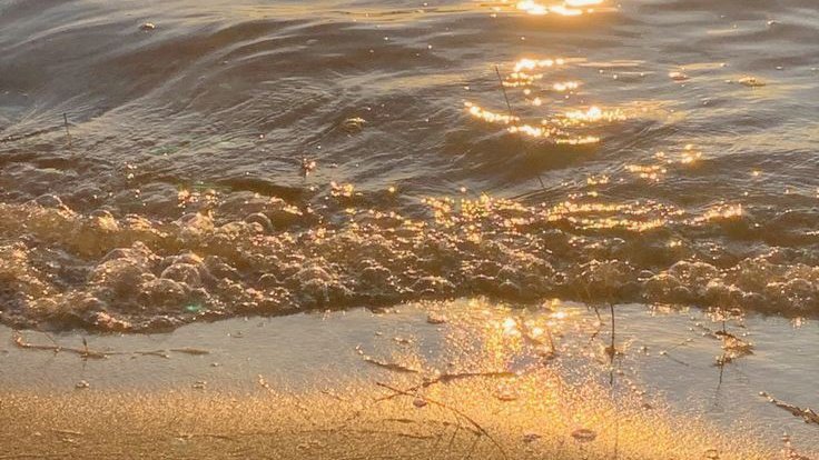 ladyoforien's tweet photo. golden days🌊🌅 https://t.co/0X1gMZ8muJ