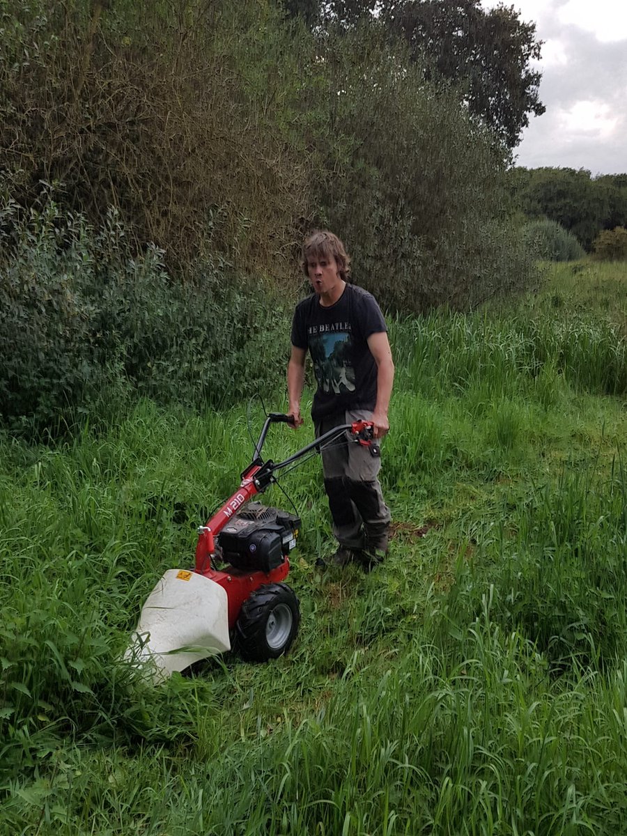 The <a href="/BroomFen/">Barnham Broom Fen, River Yare, Norfolk</a> team have been lent this reed eating machine by our Barton Turf pals &amp; gave it a try this evening - aim of cutting is to improve plant diversity
We'll be cutting tmrw am so anyone available for mowing or raking in Barnham Broom please dm me for details!