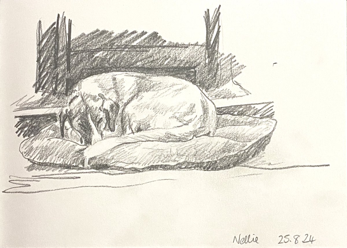 A busy day with lots of guests. Nellie is tired out (&amp; so am I!) 
#drawingaugust #letsleepingdogslie #sketchbook