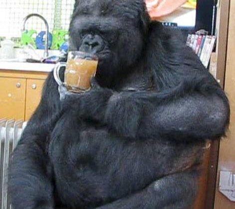 يتم احتساء الشاهي الآن 👍🏻