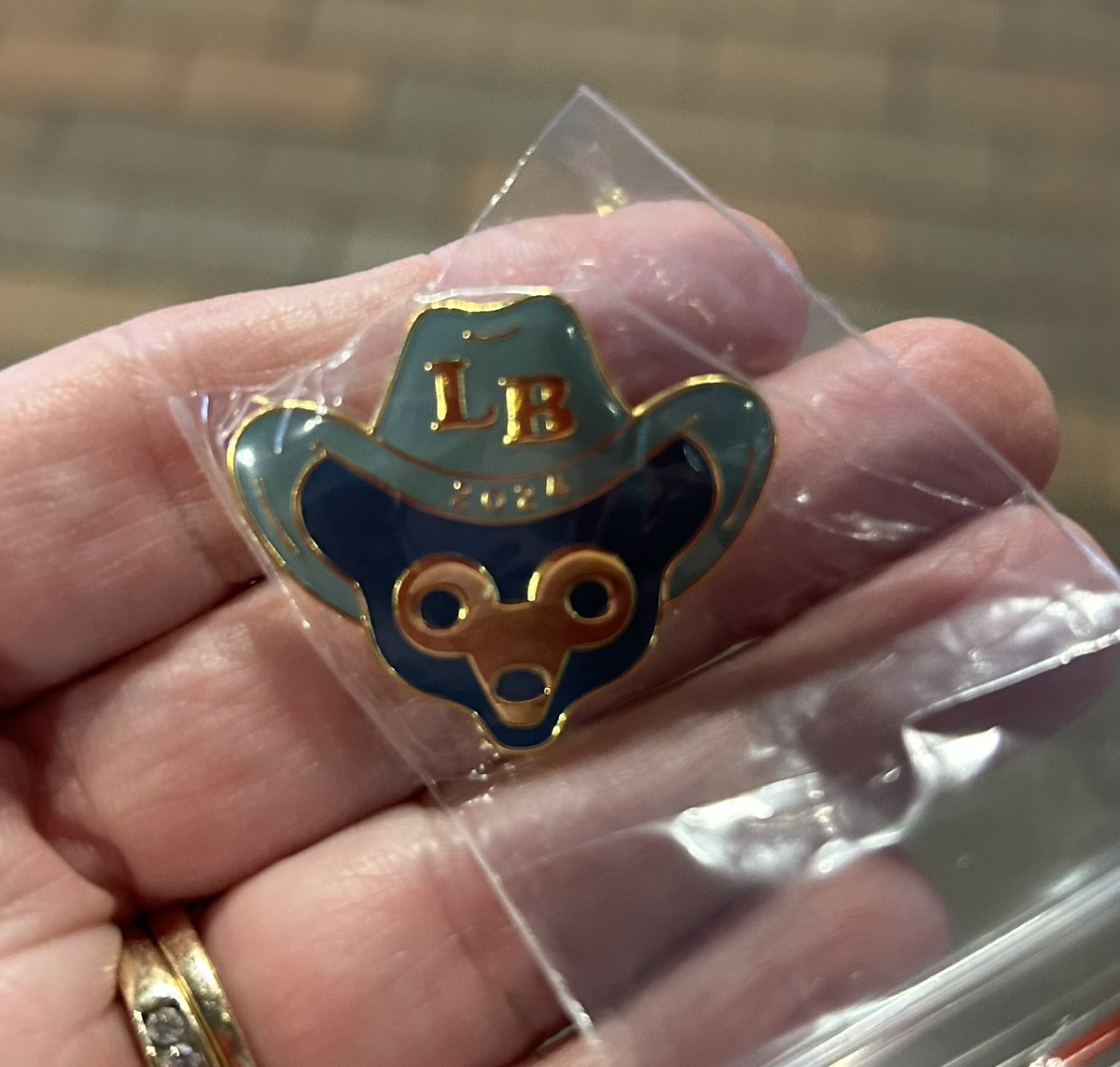 Deb Mirabelli, BSD100 tweet media