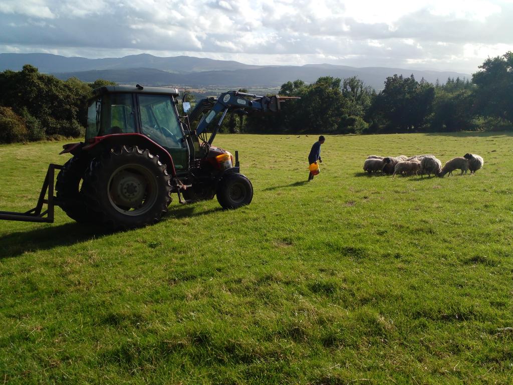 John Geraghty tweet media