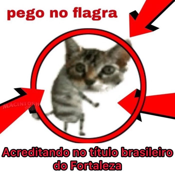 bdebiazinha's tweet photo. Fortaleza Esporte Clube https://t.co/o7uUjiSs5N