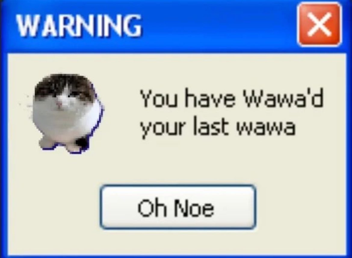 PunchingCat's tweet image. 