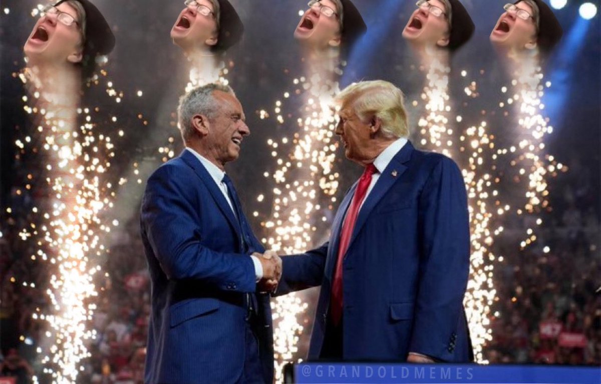 borovik tweet media