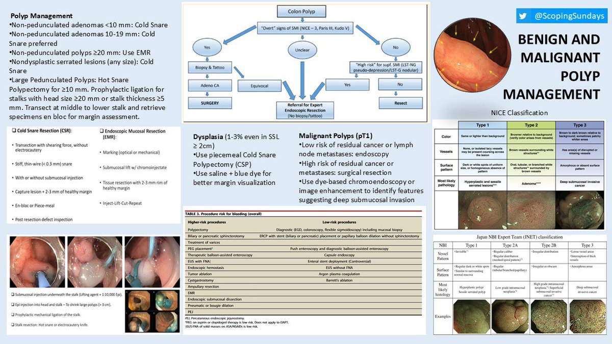 #ScopingSundays (@scopingsundays) on Twitter photo Missed out on the 🔥🔥 #ScopingSundays discussion last weekend on “Basics of #Colonoscopy”
Check out the #ScopingSummary from the interactive discussion led by <a href="/KiwanGIDoc/">Wissam Kiwan M.D.</a>, <a href="/s_taranika/">Taranika S Das</a> & <a href="/fouadsjaber/">Fouad Jaber, MD, MS</a> !
Special thanks to <a href="/KimberlyHoMD/">Kimberly G. Ho</a> for the summary! Missed out on the 🔥🔥 #ScopingSundays discussion last weekend on “Basics of #Colonoscopy”
Check out the #ScopingSummary from the interactive discussion led by <a href="/KiwanGIDoc/">Wissam Kiwan M.D.</a>, <a href="/s_taranika/">Taranika S Das</a> & <a href="/fouadsjaber/">Fouad Jaber, MD, MS</a> !
Special thanks to <a href="/KimberlyHoMD/">Kimberly G. Ho</a> for the summary!