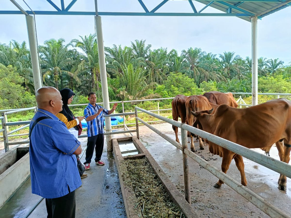 ppk_selama's tweet photo. 📷 LAWATAN PEMANTAUAN DARI PUAN NOR RAHILA  BT MOHD YUSOF (TIMBALAN PENGARAH LPP KEDAH)  KE TAPAK PROJEK LEMBU FIDLOT
📷 11.OO PAGI
📷  KAMPUNG MEDAN SG TAKA,SERDANG KEDAH
📷   25 OGOS 2024 (AHAD)
#𝐋𝐏𝐏𝐌𝐚𝐥𝐚𝐲𝐬𝐢𝐚
#𝐋𝐏𝐏𝟒𝐅𝐚𝐫𝐦𝐞𝐫𝐬
#𝐏𝐞𝐫𝐤𝐚𝐬𝐚𝐏𝐞𝐥𝐚𝐝𝐚𝐧𝐠 https://t.co/cjoZsKIHUI